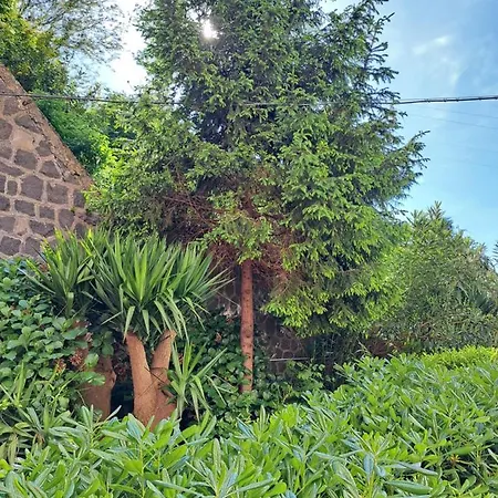 Domus De Loco Sano Bed & Breakfast